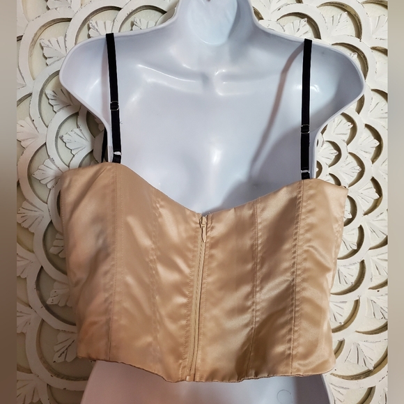 NWT Fashion Nova Corset Boustier Top In Satin 1X - Picture 7 of 13